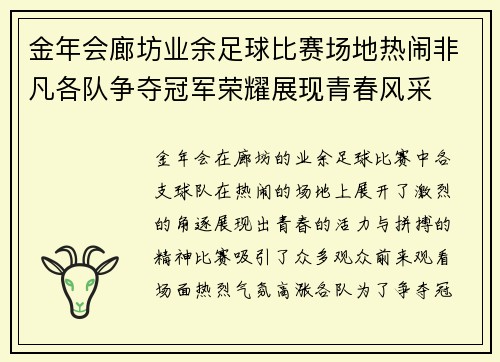 金年会廊坊业余足球比赛场地热闹非凡各队争夺冠军荣耀展现青春风采